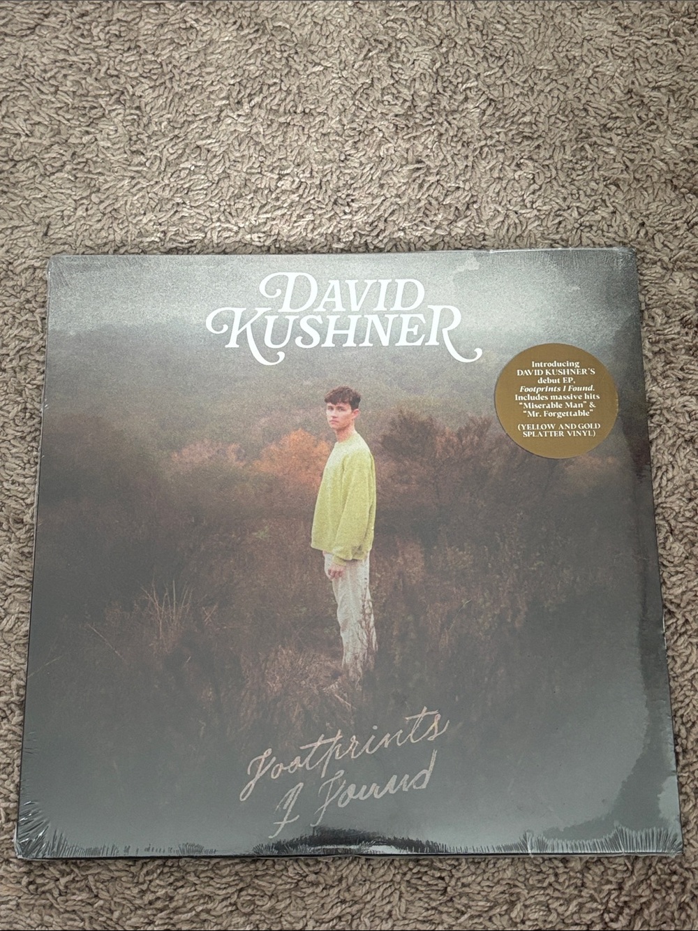 david kushner sealed footprints i found vinyl